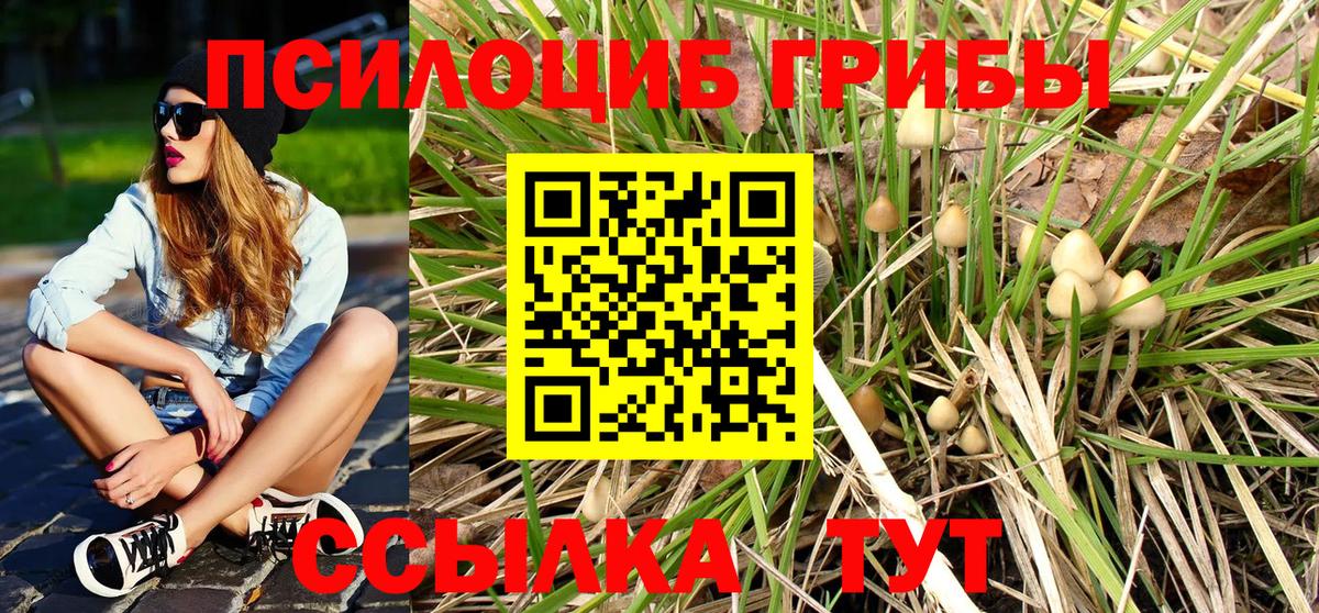 Галлюциногенные грибы мухоморы Щёкино