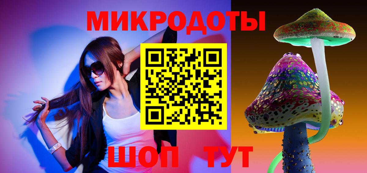 Щёкино  Галлюциногенные грибы прущие грибы  Вход с VPN 